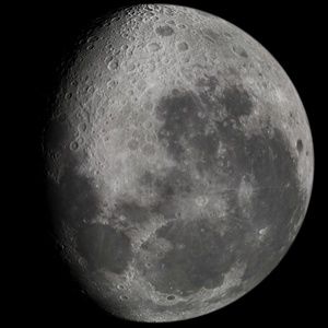 Meet your Posher, Paige